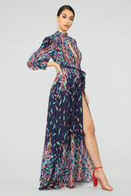 Load image into Gallery viewer, Wings Of A Feather Maxi Dress
