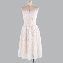 Load image into Gallery viewer, Chic Sexy Sleeveless Lace Overlay Plain Mini Tube Dress
