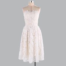Chic Sexy Sleeveless Lace Overlay Plain Mini Tube Dress