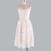 Load image into Gallery viewer, Chic Sexy Sleeveless Lace Overlay Plain Mini Tube Dress
