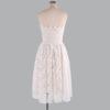 Load image into Gallery viewer, Chic Sexy Sleeveless Lace Overlay Plain Mini Tube Dress
